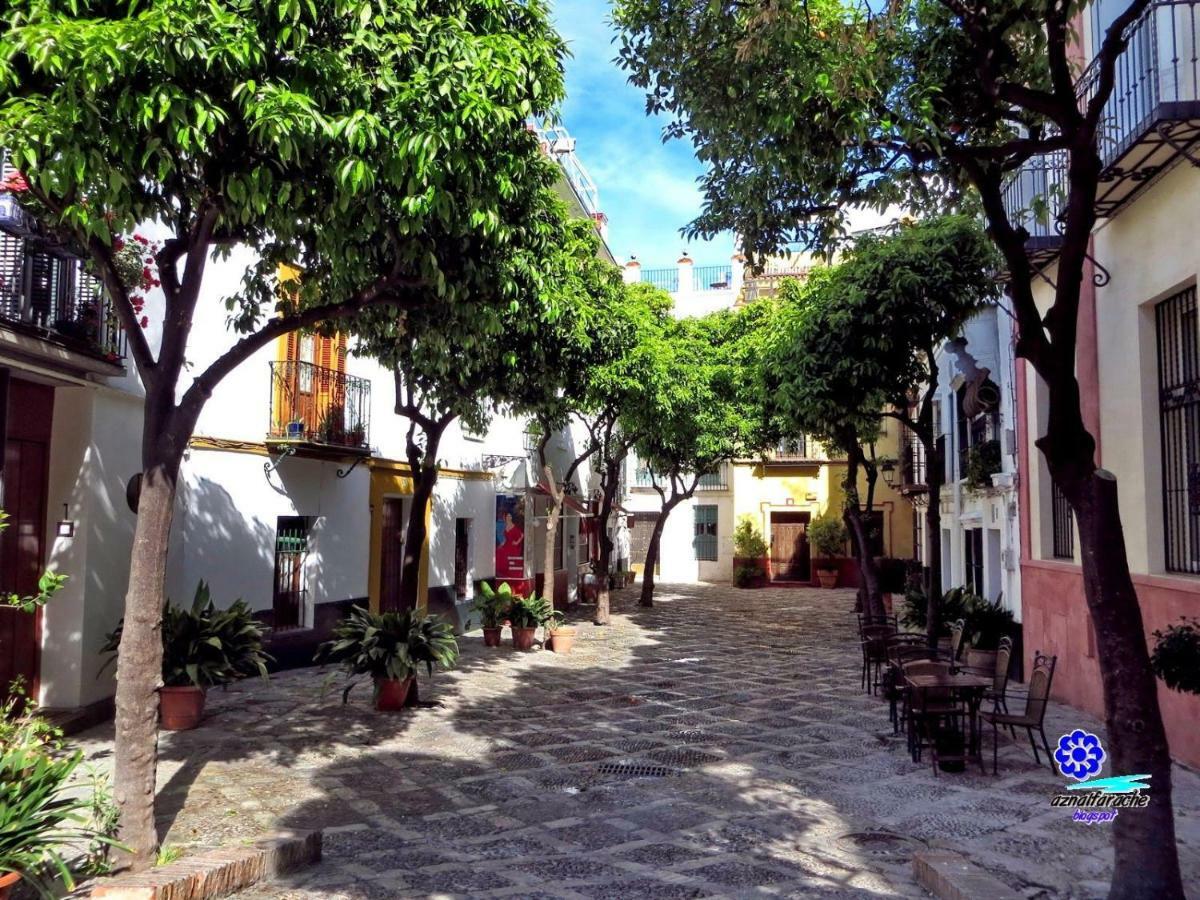Wish Suite Juderia De Sevilla Exterior photo
