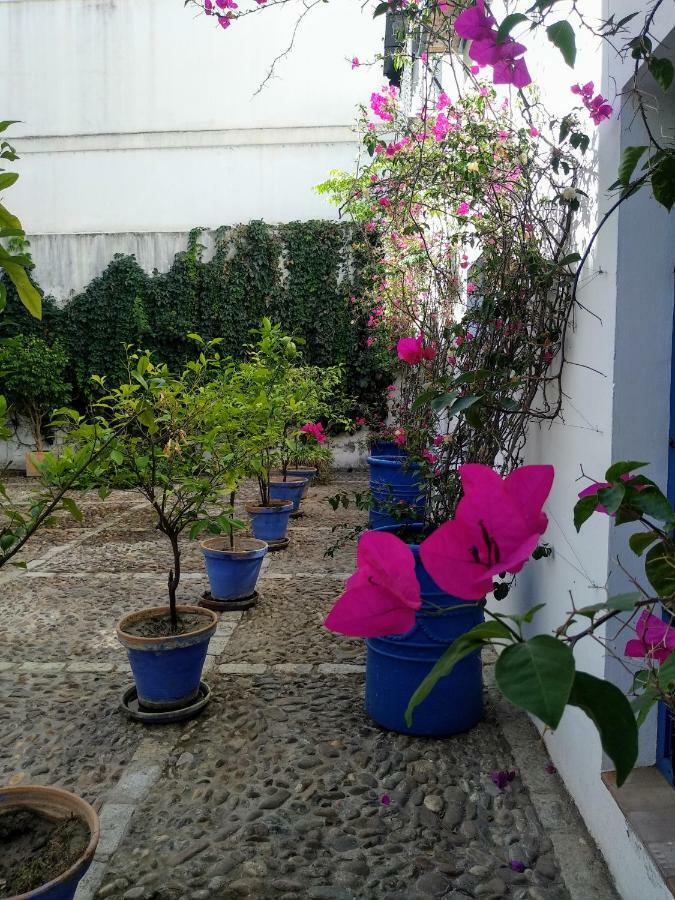Wish Suite Juderia De Sevilla Exterior photo