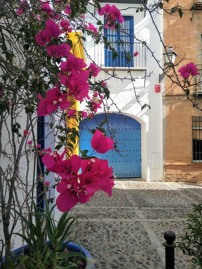 Wish Suite Juderia De Sevilla Exterior photo